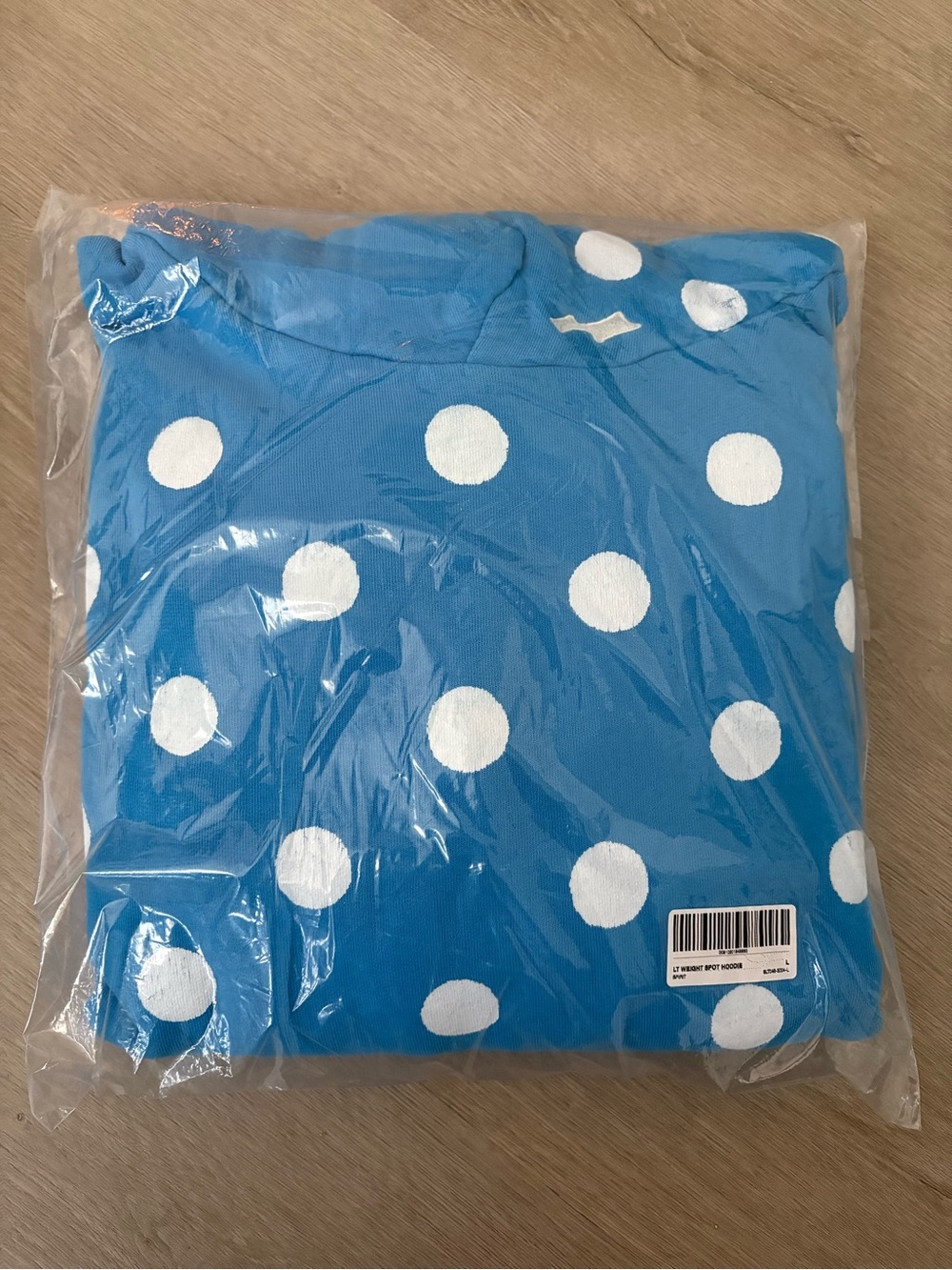 Skylrk- Blue Dot Coachella Hoodie
